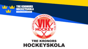 Läs mer om artikeln Prova på Hockey!