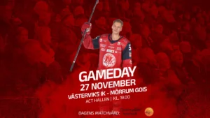 Läs mer om artikeln Dags för hemmamatch!