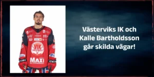 Läs mer om artikeln Bartholdsson lämnar VIK!