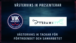 Läs mer om artikeln Terawatt ny Silverpartner!