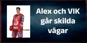 Läs mer om artikeln Alex Brännstam lämnar