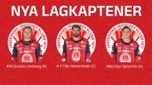 Läs mer om artikeln Nya lagkaptener